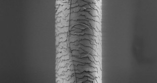 Nanowire vs human hair Батерия