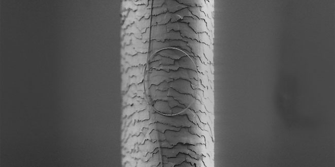 Nanowire vs human hair Батерия