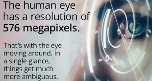 Резолюцията на човешкото око