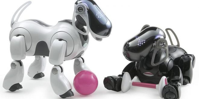 Заглавна картинка на статията "Sony подновява серията роботи Aibo"