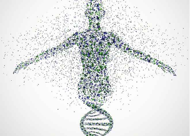 Човешки геном