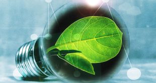 Изкуствена фотосинтеза ще улавя CO2 от въздуха, за да го превръща в гориво