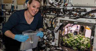 Астронавтите на МКС събраха първата реколта космически репички
